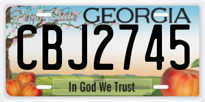 GA license plate CBJ2745