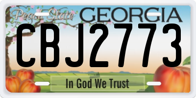 GA license plate CBJ2773
