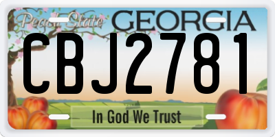 GA license plate CBJ2781