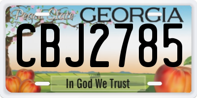 GA license plate CBJ2785
