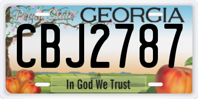 GA license plate CBJ2787
