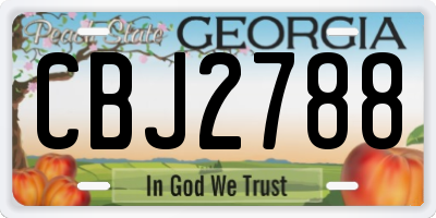 GA license plate CBJ2788