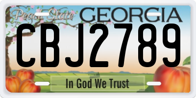 GA license plate CBJ2789