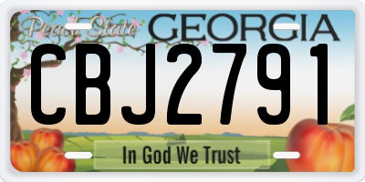 GA license plate CBJ2791