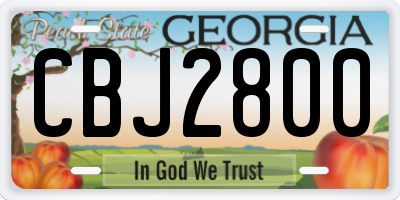 GA license plate CBJ2800
