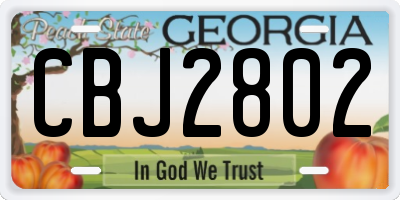 GA license plate CBJ2802