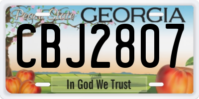 GA license plate CBJ2807