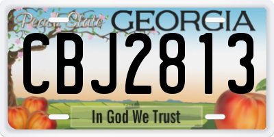 GA license plate CBJ2813