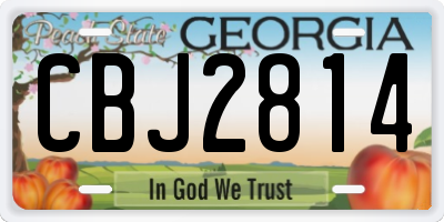 GA license plate CBJ2814