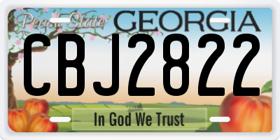 GA license plate CBJ2822