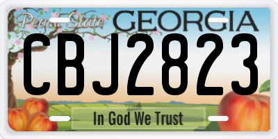 GA license plate CBJ2823