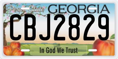 GA license plate CBJ2829