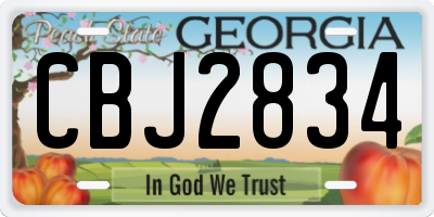 GA license plate CBJ2834