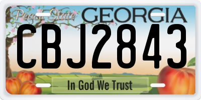 GA license plate CBJ2843