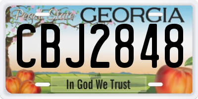 GA license plate CBJ2848