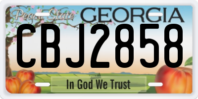 GA license plate CBJ2858