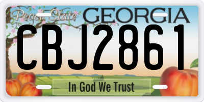 GA license plate CBJ2861
