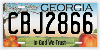GA license plate CBJ2866