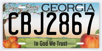 GA license plate CBJ2867