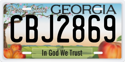 GA license plate CBJ2869