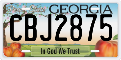 GA license plate CBJ2875