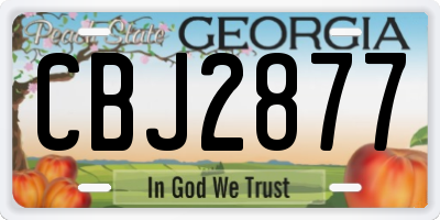 GA license plate CBJ2877