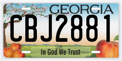GA license plate CBJ2881