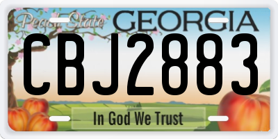GA license plate CBJ2883