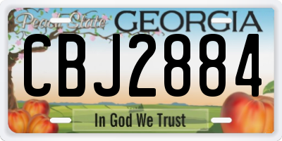 GA license plate CBJ2884