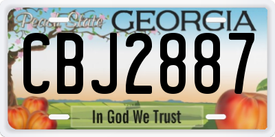 GA license plate CBJ2887