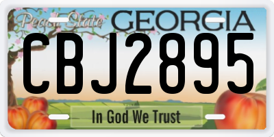 GA license plate CBJ2895