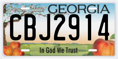 GA license plate CBJ2914