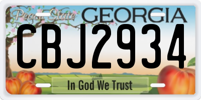 GA license plate CBJ2934