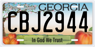 GA license plate CBJ2944