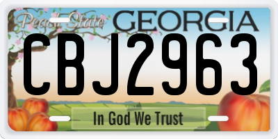 GA license plate CBJ2963