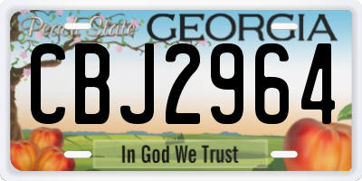 GA license plate CBJ2964
