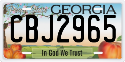 GA license plate CBJ2965