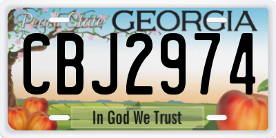 GA license plate CBJ2974