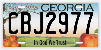 GA license plate CBJ2977