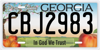 GA license plate CBJ2983