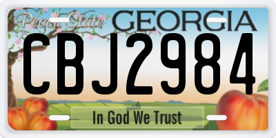 GA license plate CBJ2984