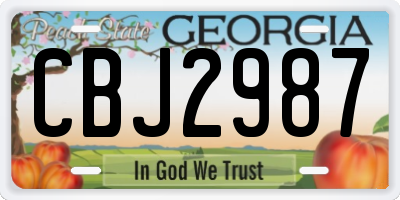 GA license plate CBJ2987