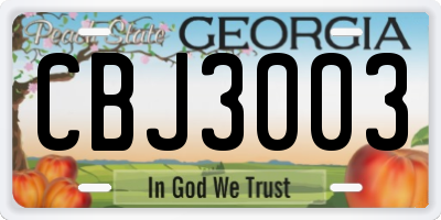 GA license plate CBJ3003