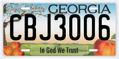 GA license plate CBJ3006