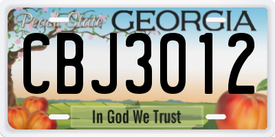 GA license plate CBJ3012