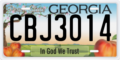 GA license plate CBJ3014