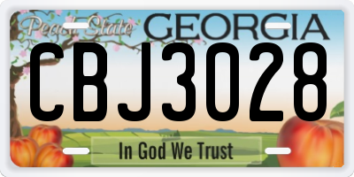 GA license plate CBJ3028