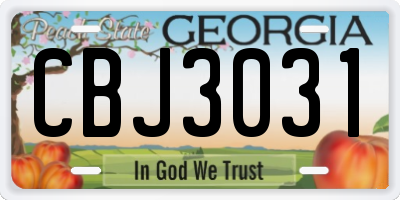 GA license plate CBJ3031
