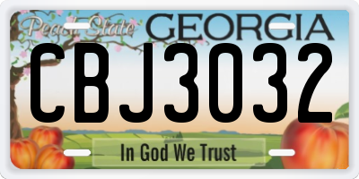GA license plate CBJ3032