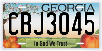 GA license plate CBJ3045